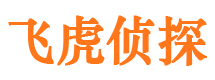 谢通门市侦探公司